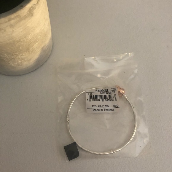 Brand New Pandora Moments Bracelet - Picture 3 of 3